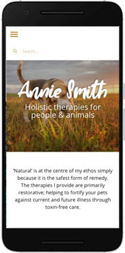 Annie Smith website